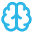 brain